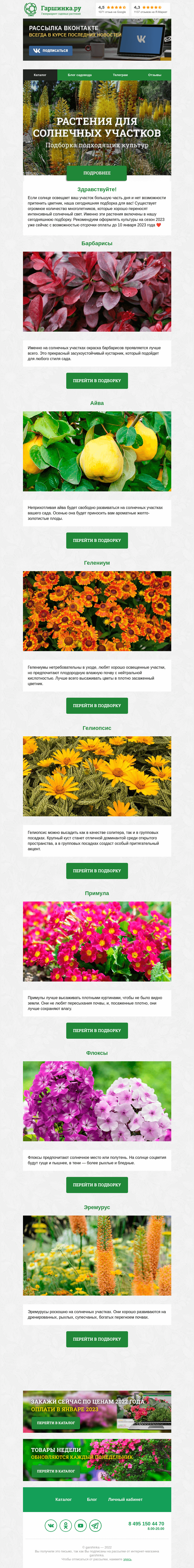 Письмо компании «Гаршинка.ру» на тему «🌞 Растения для солнечных участков»