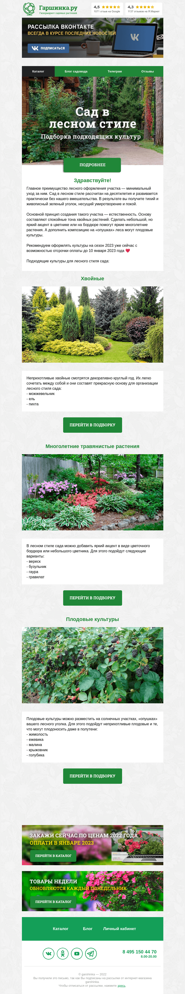 Письмо компании «Гаршинка.ру» на тему «🍃 Сад в лесном стиле. Что сажать?»