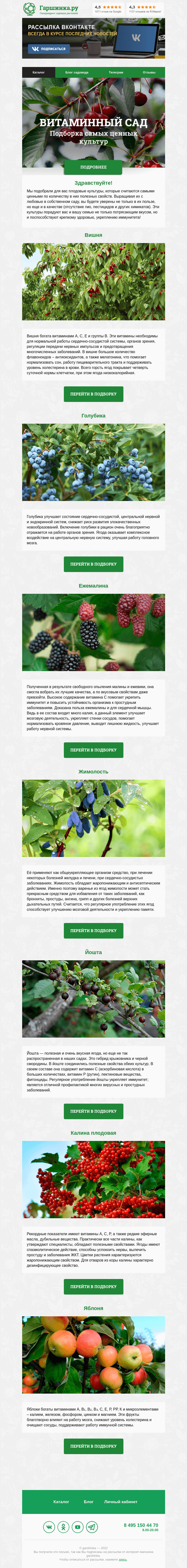 Письмо компании «Гаршинка.ру» на тему «🍒🫐🍏 Витаминный сад.»
