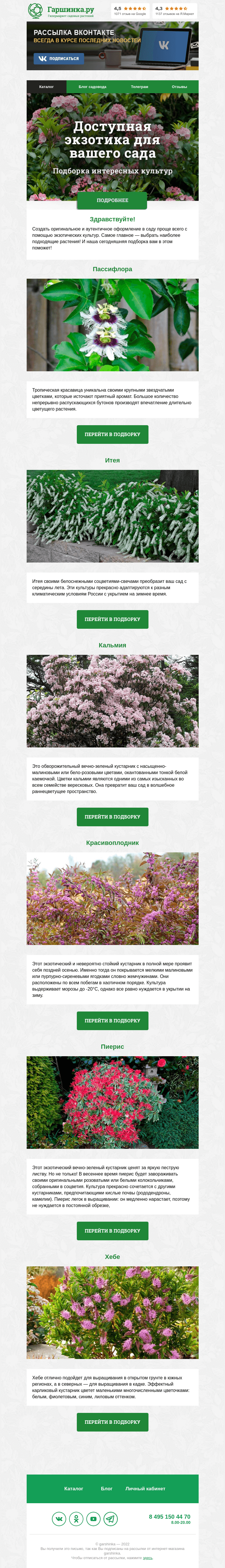 Письмо компании «Гаршинка.ру» на тему «❤️ Доступная экзотика для вашего сада Таких растений у вас точно нет... А зря!»