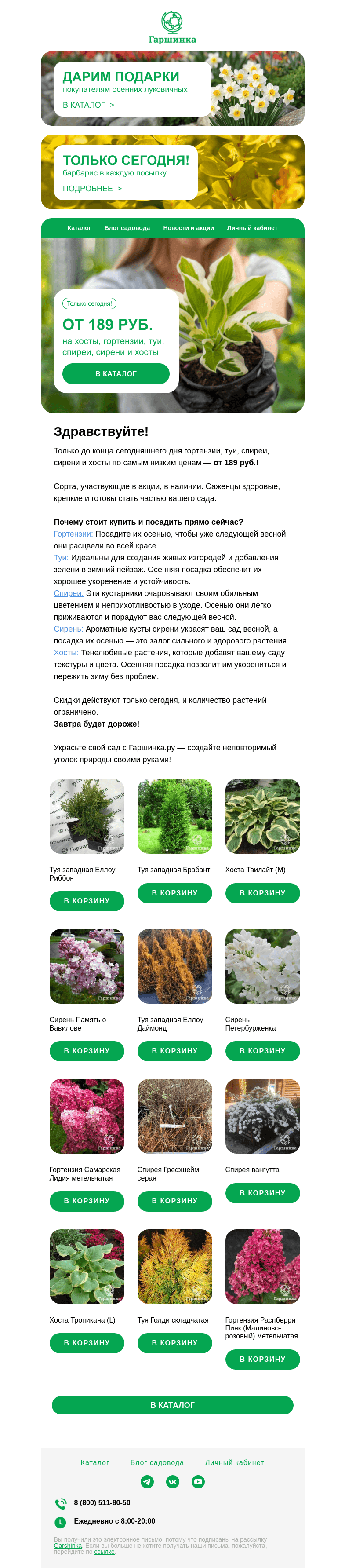 Письмо компании «Гаршинка.ру» на тему «💰 189 руб. на гортензии, туи, спиреи, сирени и хосты. Только сегодня!»