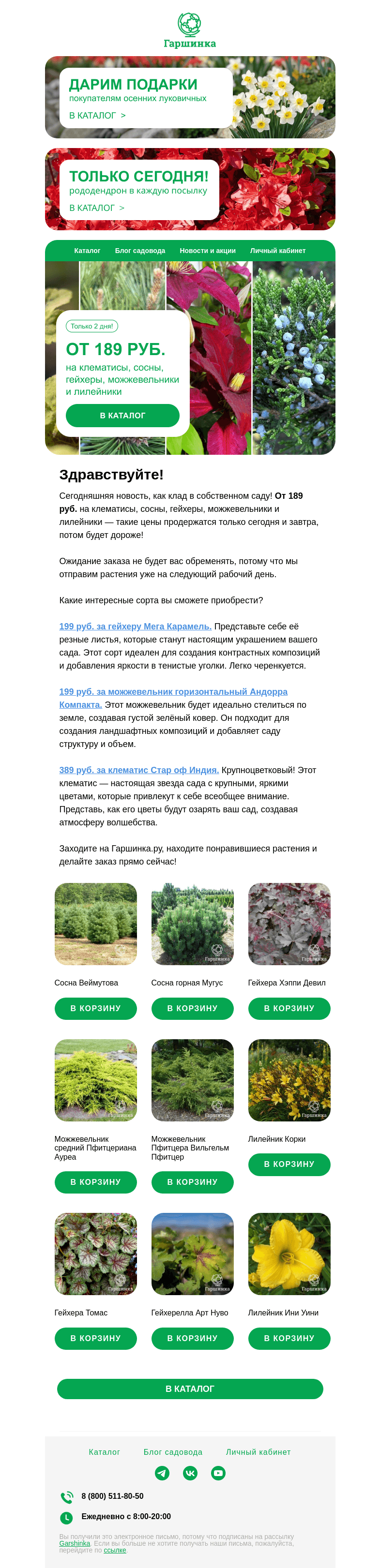 Письмо компании «Гаршинка.ру» на тему «💰 От 189 руб. на клематисы, сосны, гейхеры и др. Только 2 дня!»
