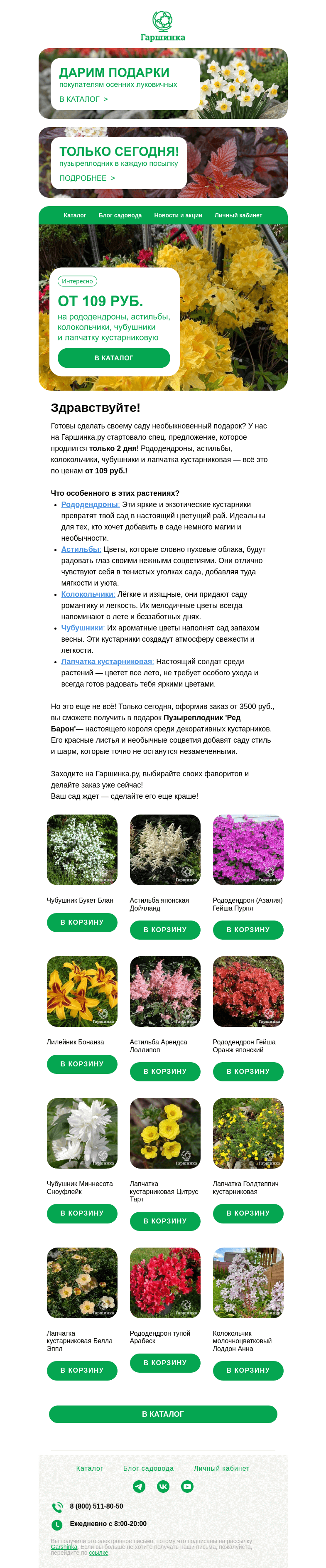 Письмо компании «Гаршинка.ру» на тему «😍 От 109 руб. на астильбы, рододендроны, колокольчики, чубушники и лапчатку кустарниковую.»