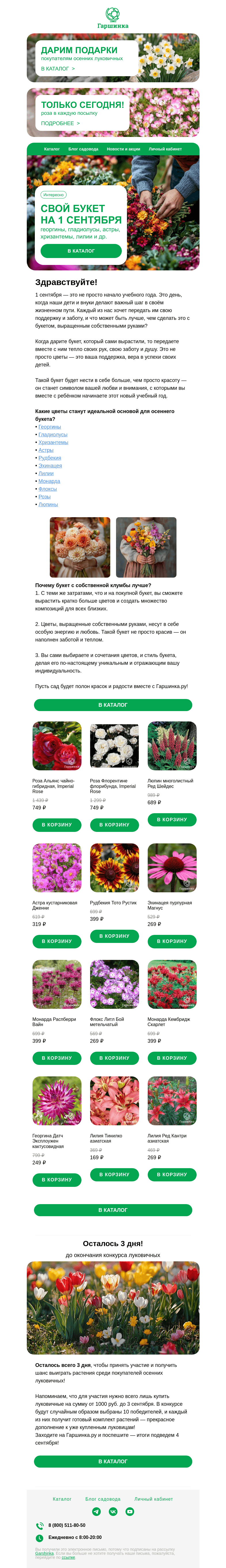 Письмо компании «Гаршинка.ру» на тему «💐 Букет с собственной клумбы | С Днем знаний!»