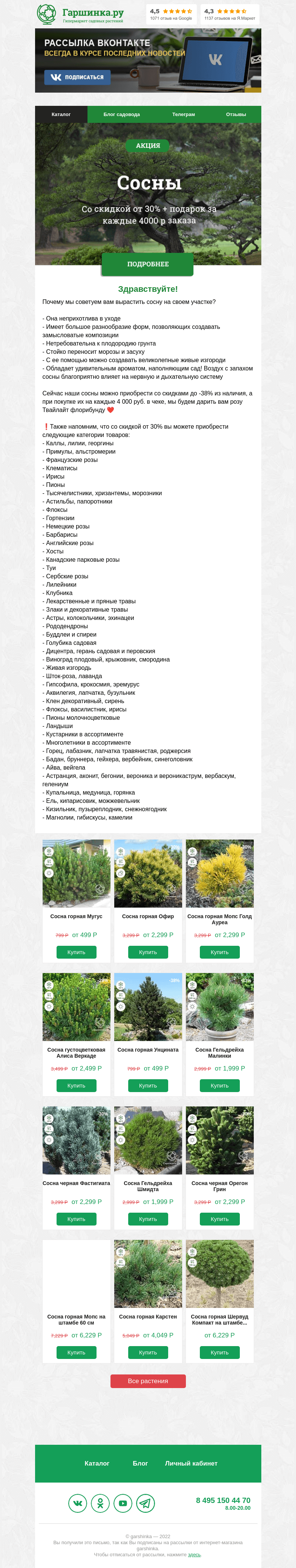 Письмо компании «Гаршинка.ру» на тему «🤩 НОВАЯ КАТЕГОРИЯ РАСПРОДАЖ — Сосна!»
