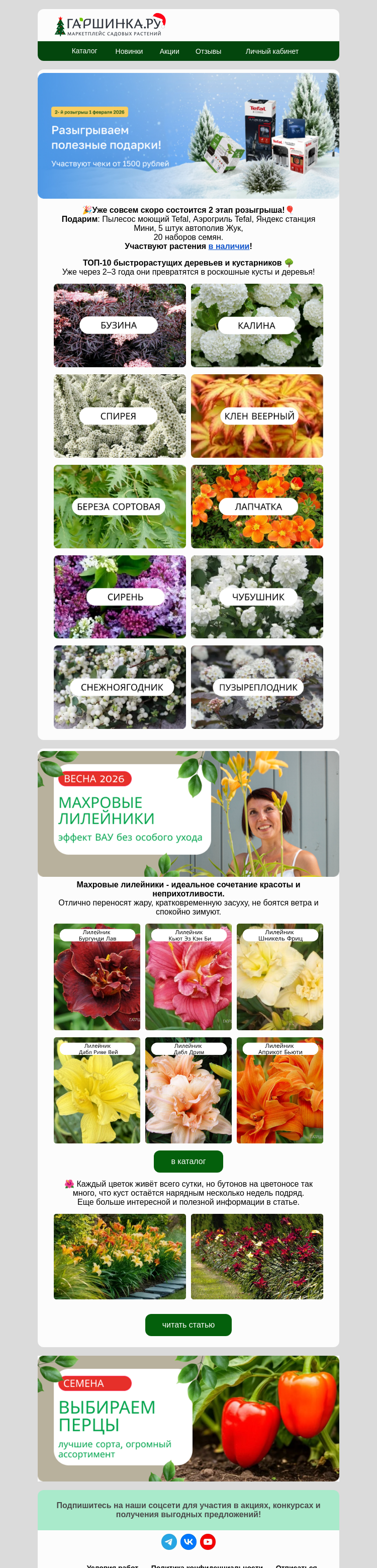 Письмо компании «Гаршинка.ру» на тему «🚀 Топ-10: быстрый рост!😎 Участвуем в розыгрыше!»
