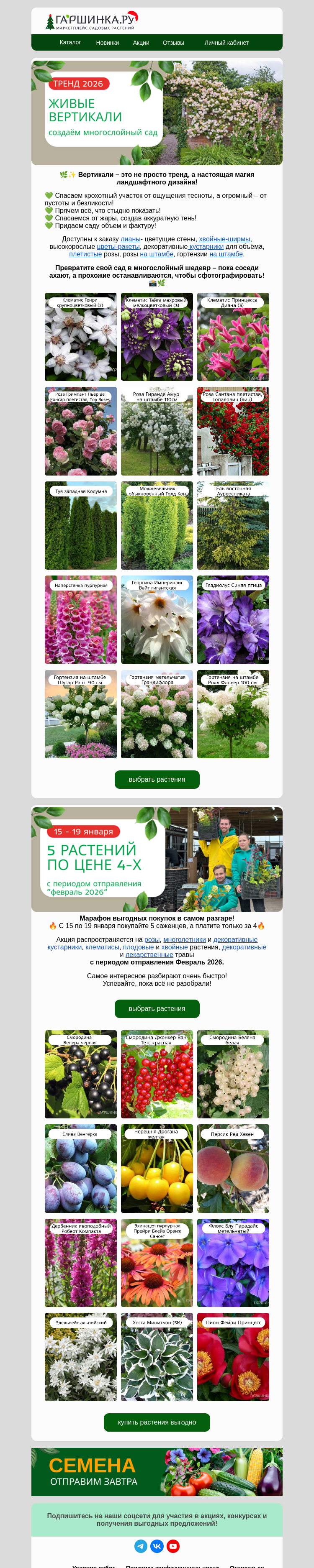 Письмо компании «Гаршинка.ру» на тему «⚡️Тренд'26 - многослойный сад 🌲🌿🌺»