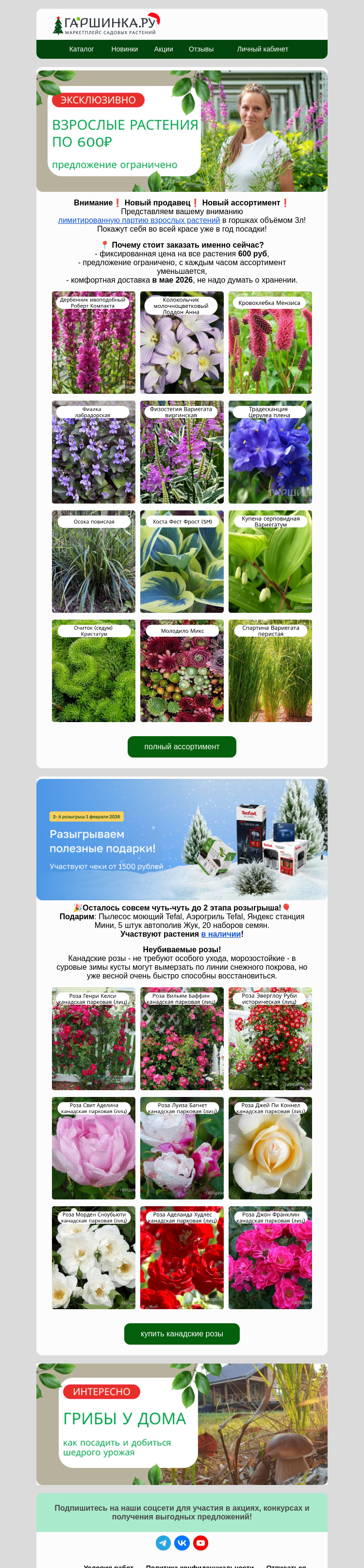 Письмо компании «Гаршинка.ру» на тему «😍Новый продавец! 😎Взрослые растения по 600₽!»