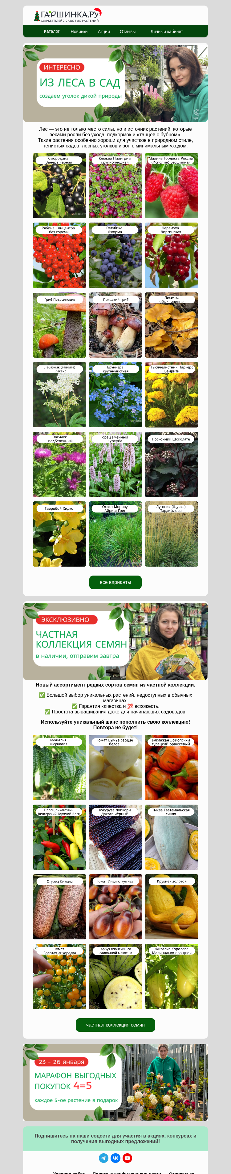 Письмо компании «Гаршинка.ру» на тему «💚Из леса в сад! 🔥4=5 в самом разгаре!🔥»