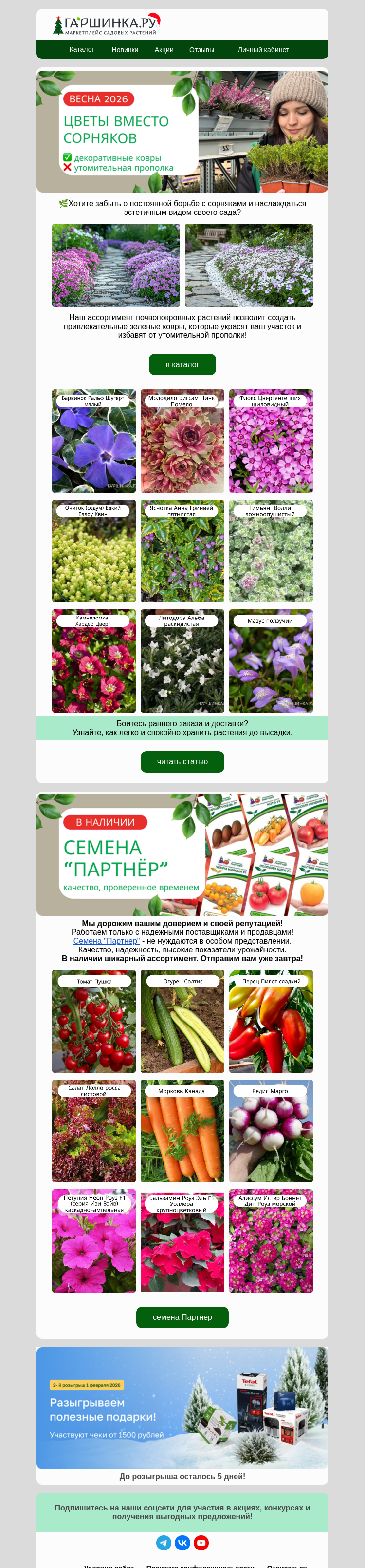 Письмо компании «Гаршинка.ру» на тему «👩🏻‍🌾Устали полоть? 🌿Посадите почвопокровные растения!»