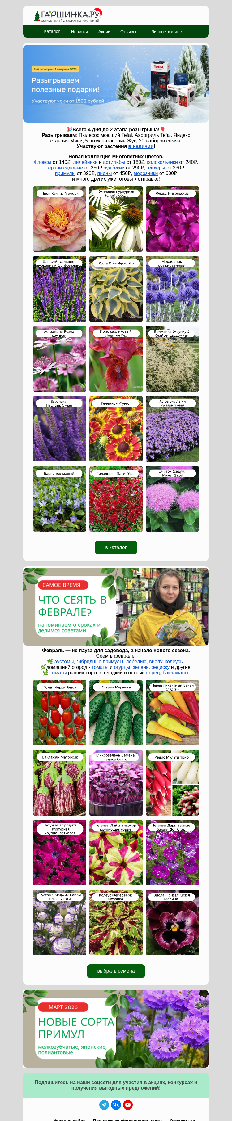 Письмо компании «Гаршинка.ру» на тему «🤩🌺Новая коллекция многолетних цветов.»