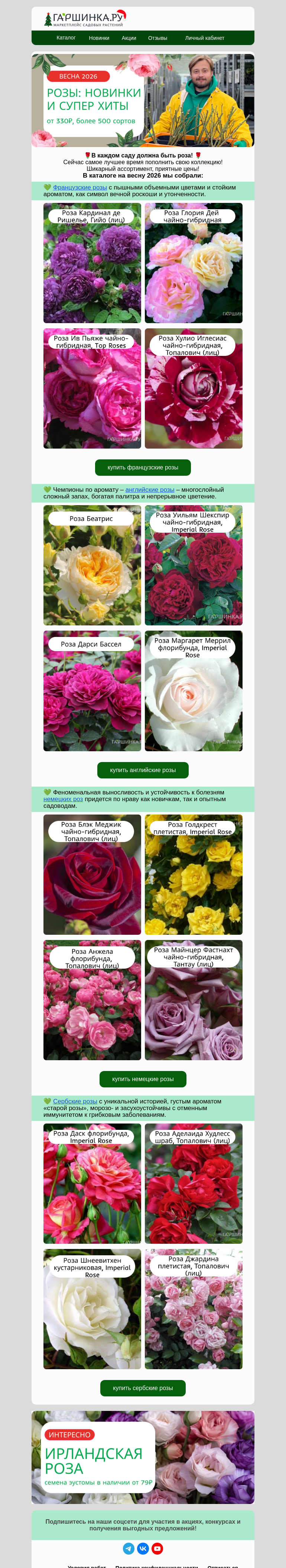 Письмо компании «Гаршинка.ру» на тему «⚡️Только своим!🌹Новые розы! Более 500 сортов!»