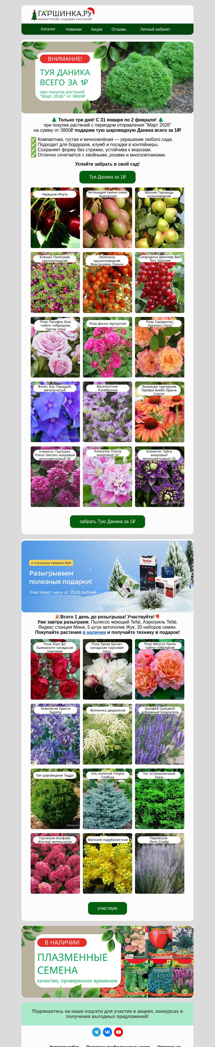 Письмо компании «Гаршинка.ру» на тему «🔥Туя Даника шаровидная за 1₽!🎁»
