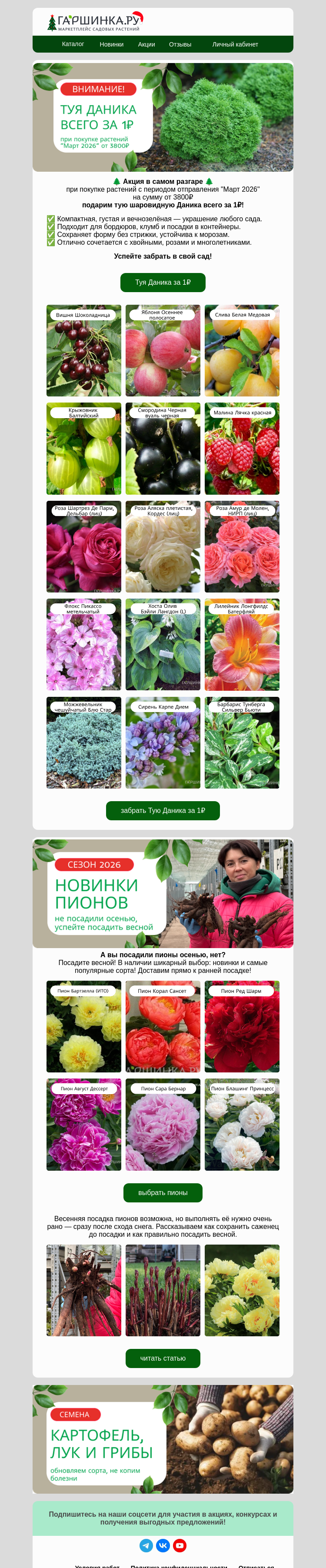 Письмо компании «Гаршинка.ру» на тему «🔥Туя шаровидная Даника за 1₽! Экватор акции! Спешите!🔥»