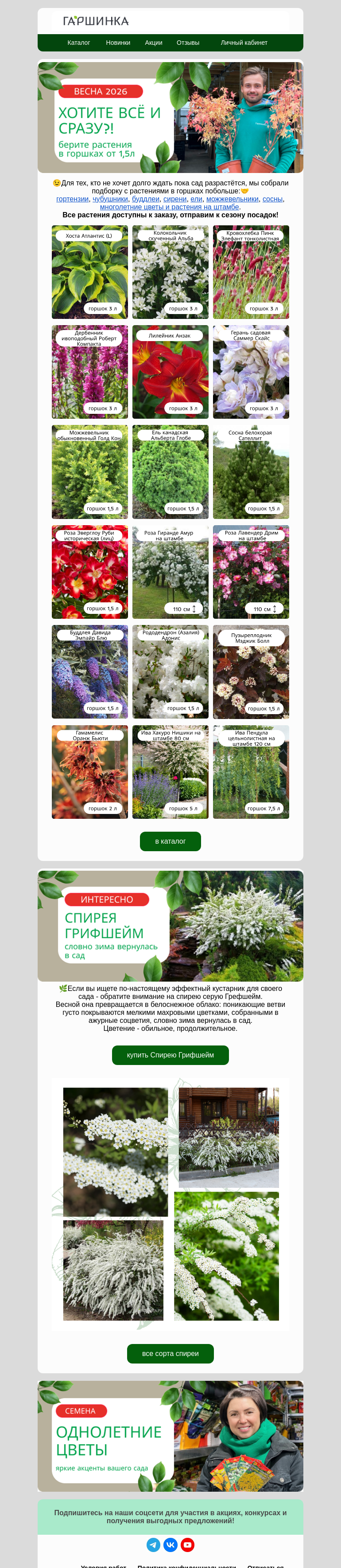 Письмо компании «Гаршинка.ру» на тему «😎Хотите всё и сразу? Берите растения в горшках побольше!»