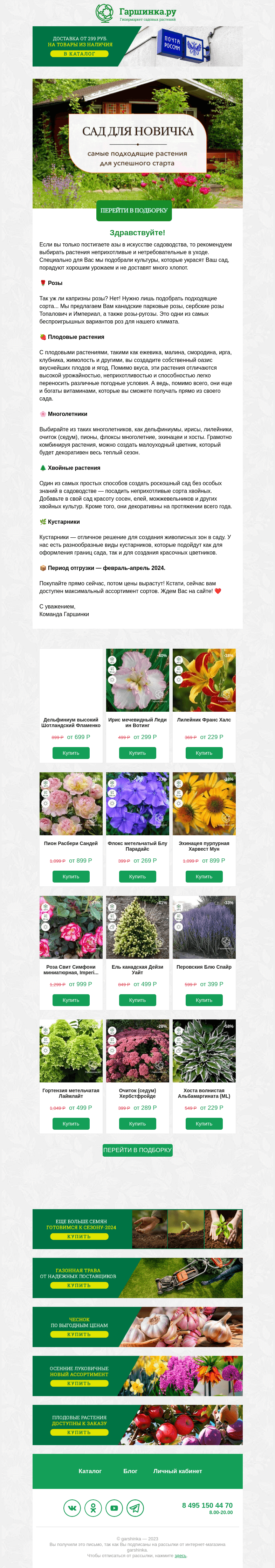 Письмо компании «Гаршинка.ру» на тему «👩‍🌾 Растения для новичка: подходящие сорта для успешного старта!»