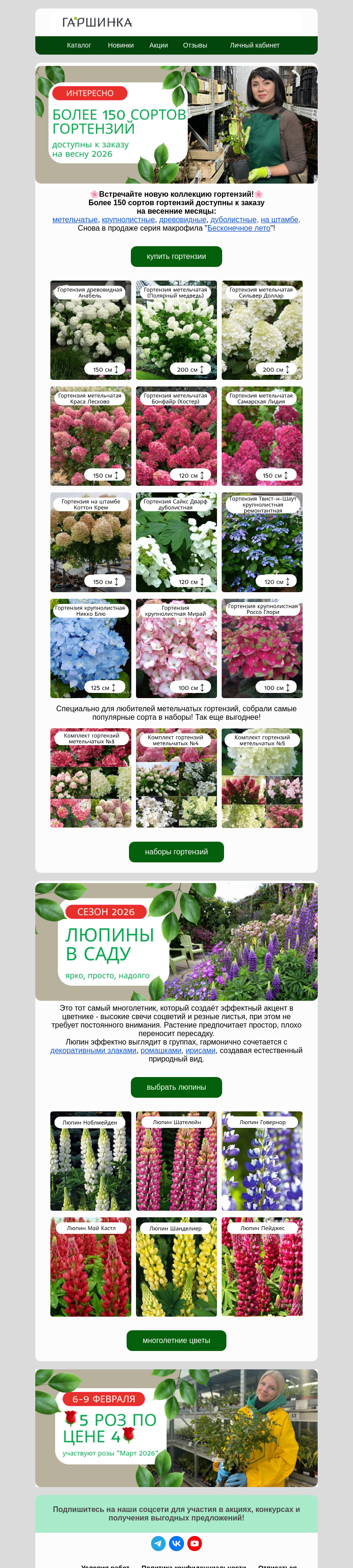 Письмо компании «Гаршинка.ру» на тему «🌹4=5 на розы! Распродажа в самом разгаре!🌹»