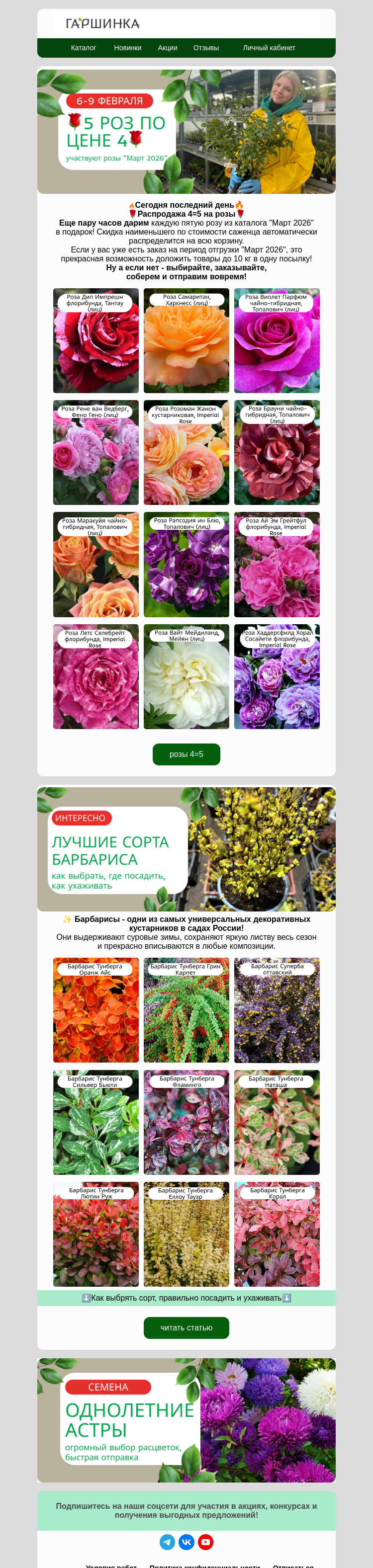 Письмо компании «Гаршинка.ру» на тему «🔥Последний день! 4=5 на розы! 🌹»