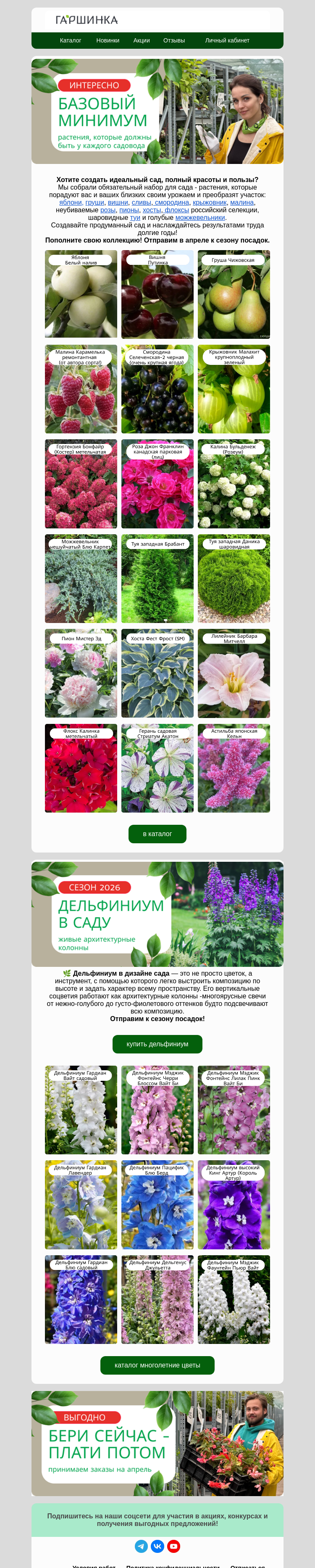 Письмо компании «Гаршинка.ру» на тему «😎Базовый минимум для сада.👩🏻‍🌾Обязательны к посадке»