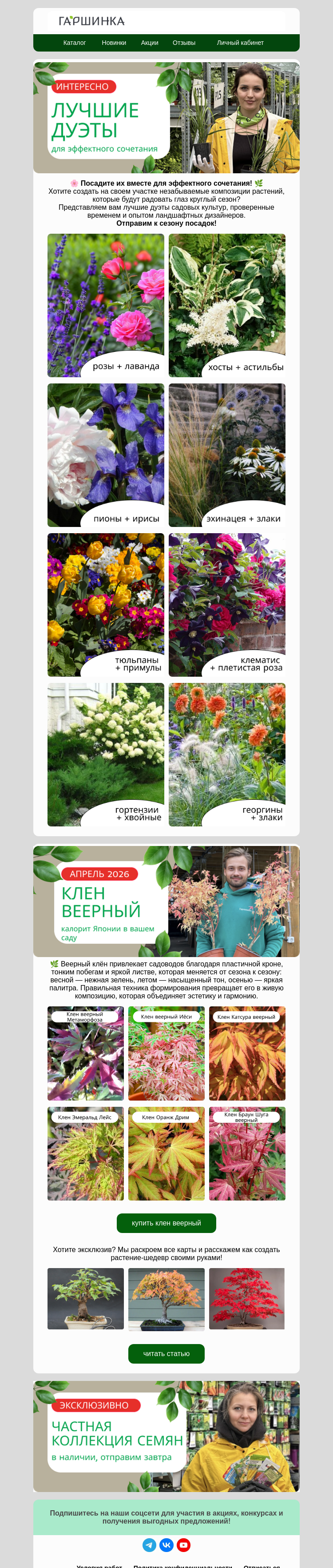 Письмо компании «Гаршинка.ру» на тему «😍Это эффектно! Удивите гостей!»