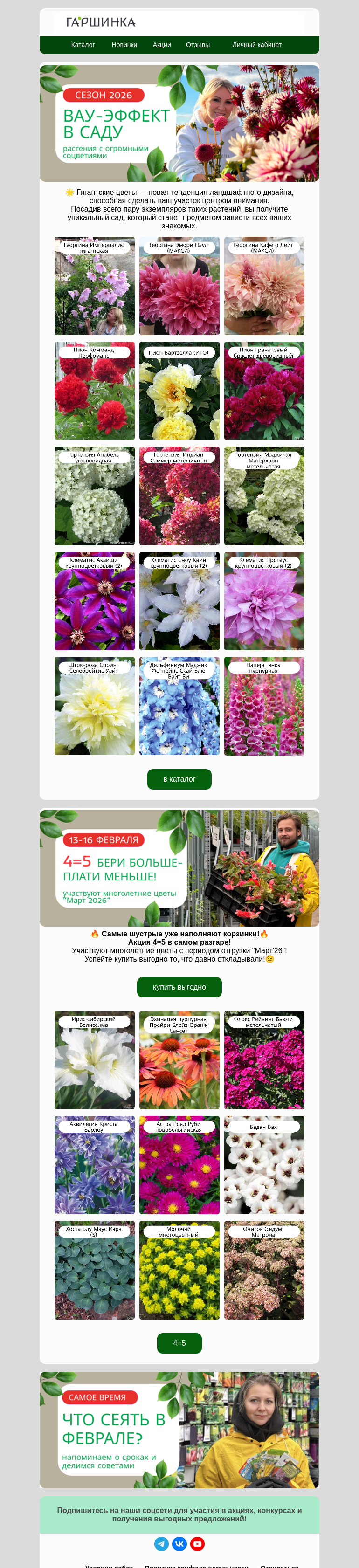 Письмо компании «Гаршинка.ру» на тему «🤩Гигантские цветы😎Тренд 2026!»