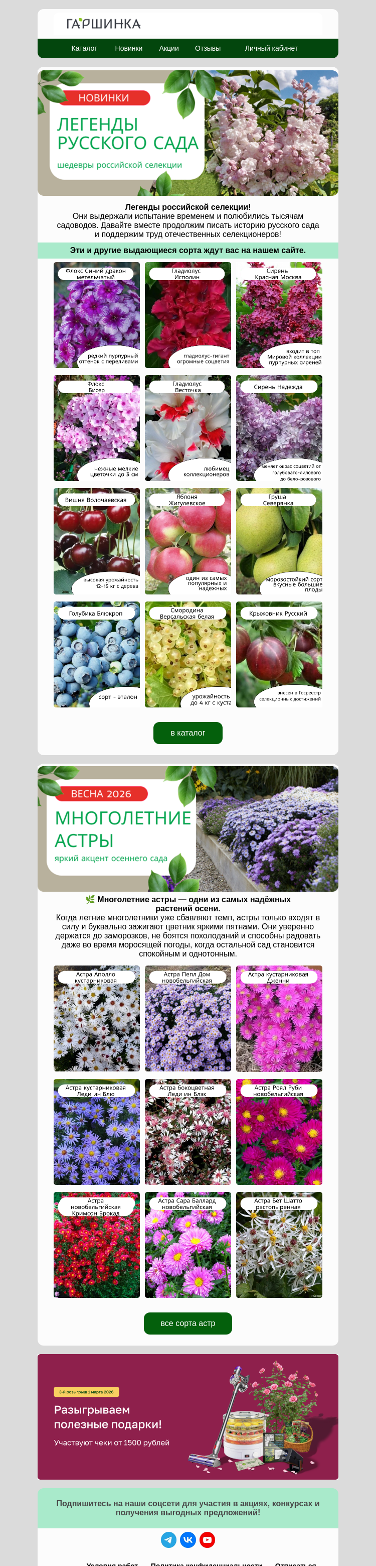 Письмо компании «Гаршинка.ру» на тему «🔥Новинки💚Гордость российской селекции»