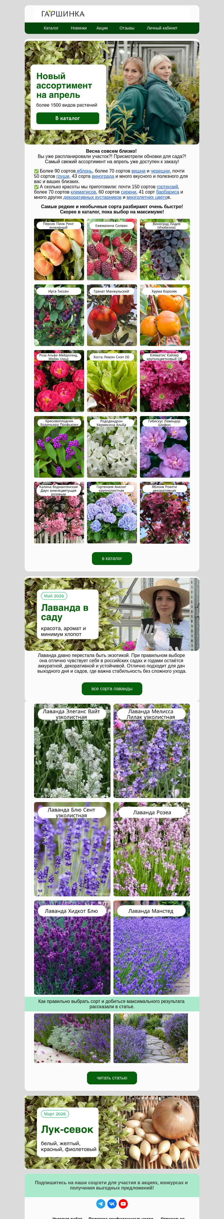 Письмо компании «Гаршинка.ру» на тему «Это мощно!📢Более 1600 новых растений на апрель!»