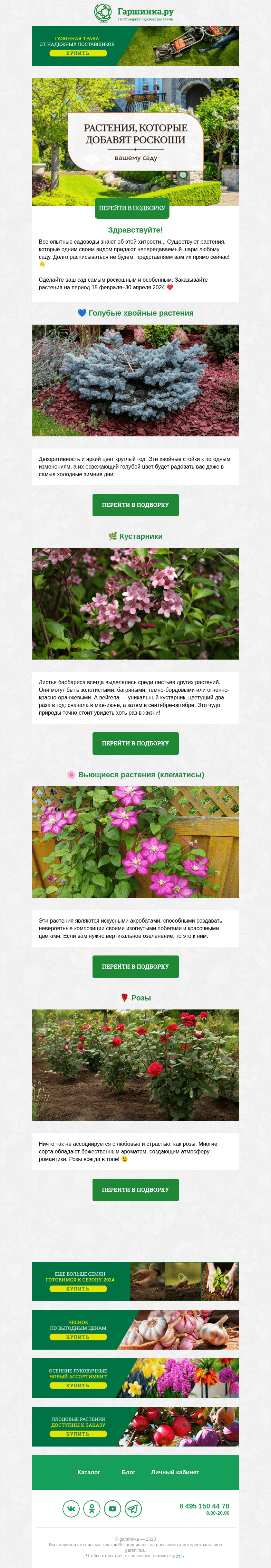 Письмо компании «Гаршинка.ру» на тему «🌿💎 Эти растения добавят роскоши вашему саду»