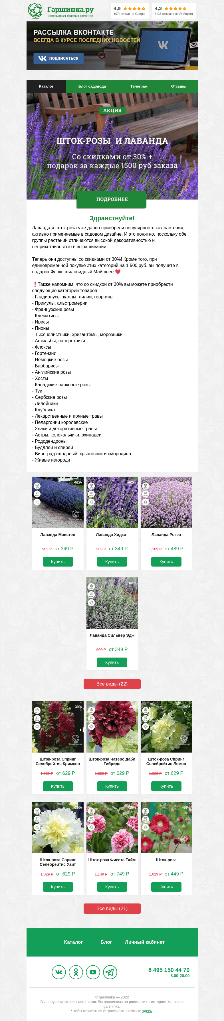 Письмо компании «Гаршинка.ру» на тему «❤️Любимые шток-розы (мальва) и лаванда в марафоне распродаж!»