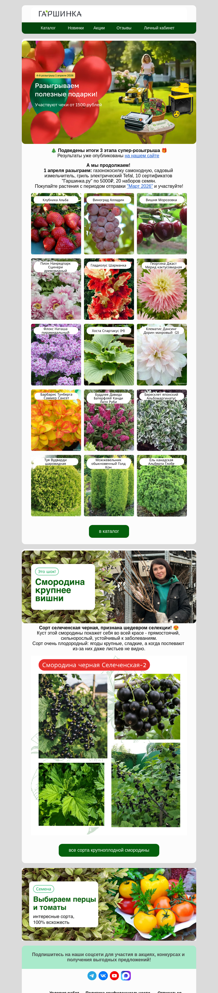 Письмо компании «Гаршинка.ру» на тему «🎁Газонокосилка в подарок! Дарим технику за растения!»