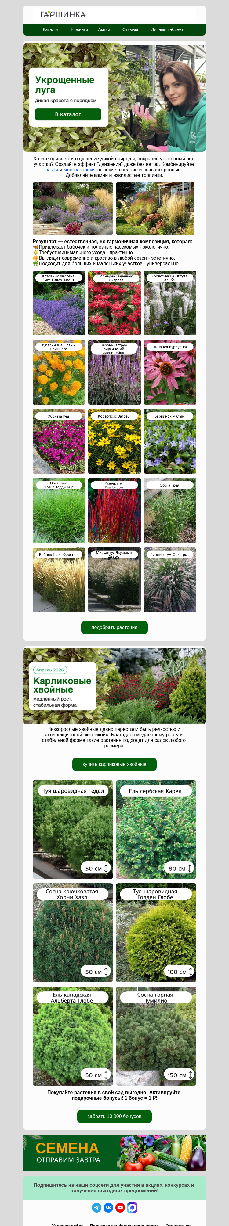 Письмо компании «Гаршинка.ру» на тему «⚡️Дикая красота с порядком. Сад в тренде.»