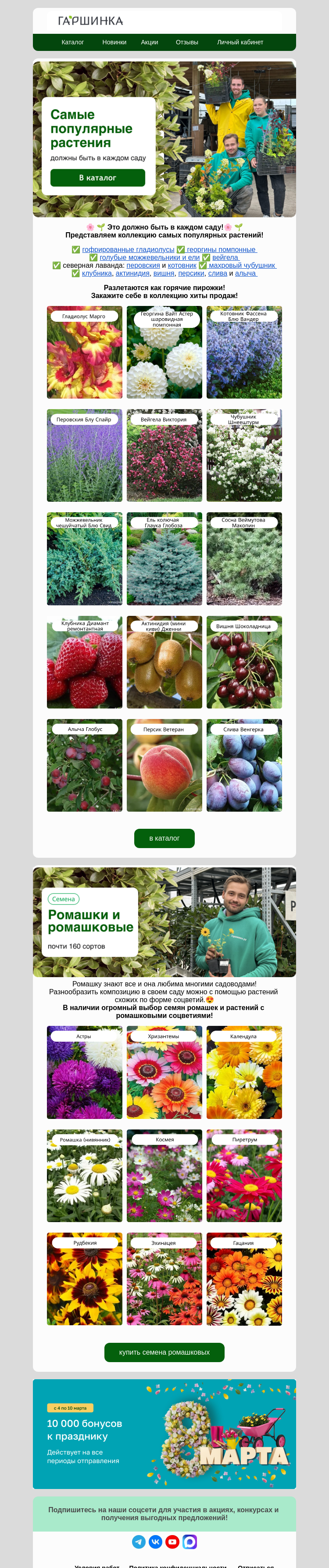 Письмо компании «Гаршинка.ру» на тему «😎Их хотят все👩🏻‍🌾Самые популярные растения!»