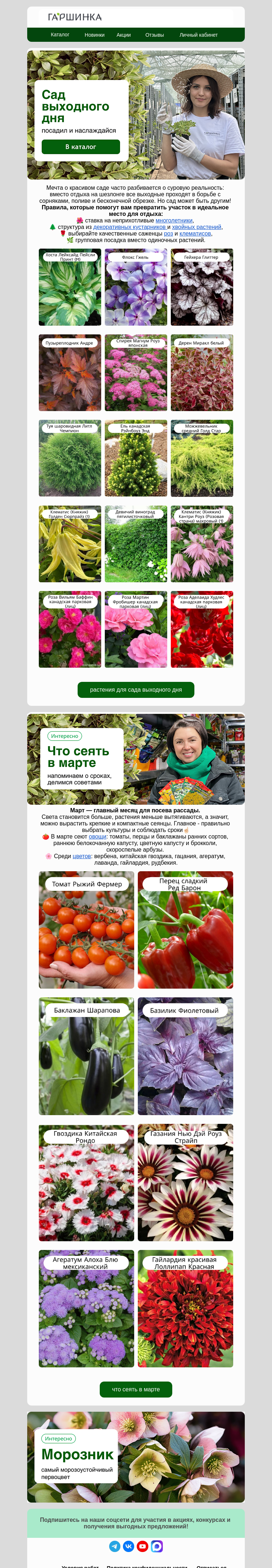 Письмо компании «Гаршинка.ру» на тему «🧘‍♀️Сад выходного дня!🏡 Больше удовольствия - меньше хлопот!»