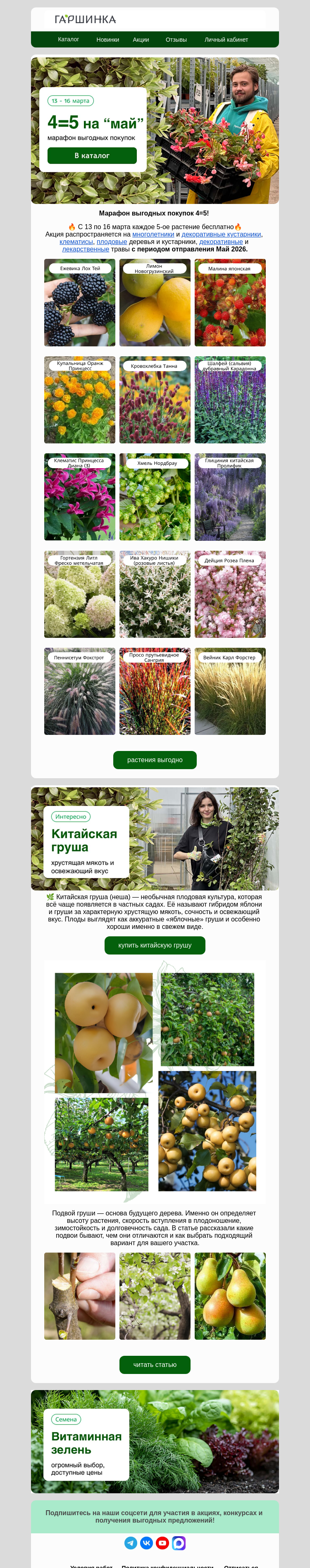 Письмо компании «Гаршинка.ру» на тему «⚡️Стартуем! 4=5! Курс на май 🤩»