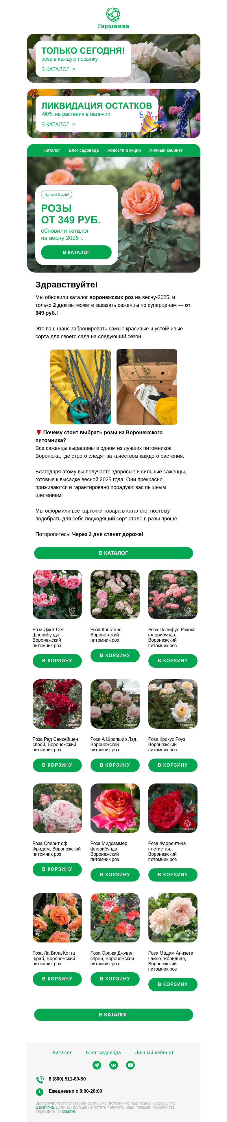 Письмо компании «Гаршинка.ру» на тему «🌹Воронежские розы от 349 руб. Только 2 дня! Обновили каталог на весну-2025!»