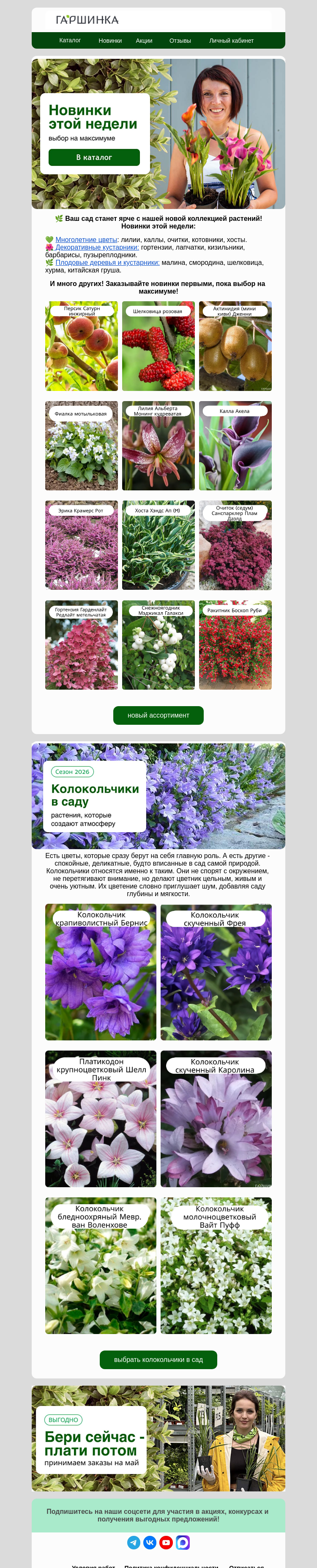 Письмо компании «Гаршинка.ру» на тему «⚡️Новинки недели! Более 400 новых растений! Успейте купить!»