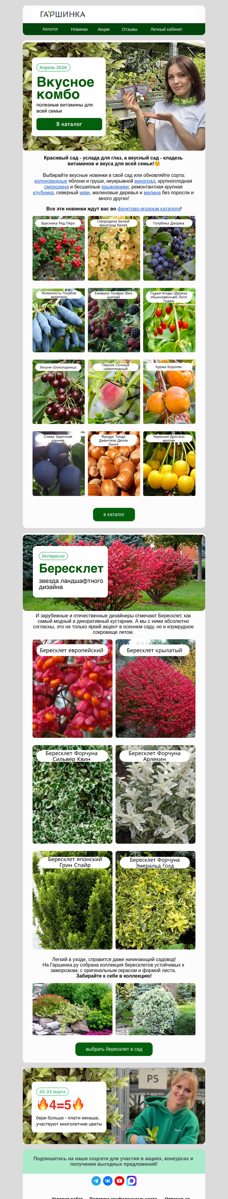 Письмо компании «Гаршинка.ру» на тему «😋Это вкусно! Собираем полезное комбо для всей семьи!»