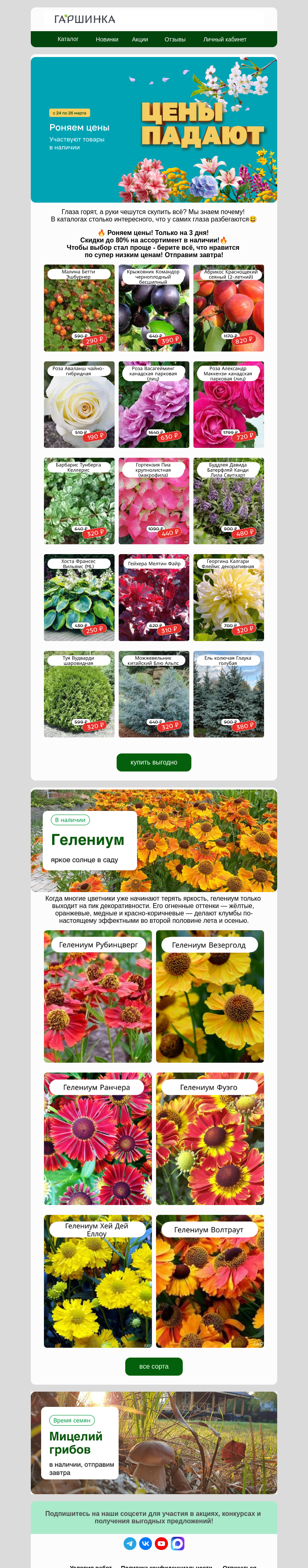Письмо компании «Гаршинка.ру» на тему «😃Шок-контент❗Роняем цены❗»