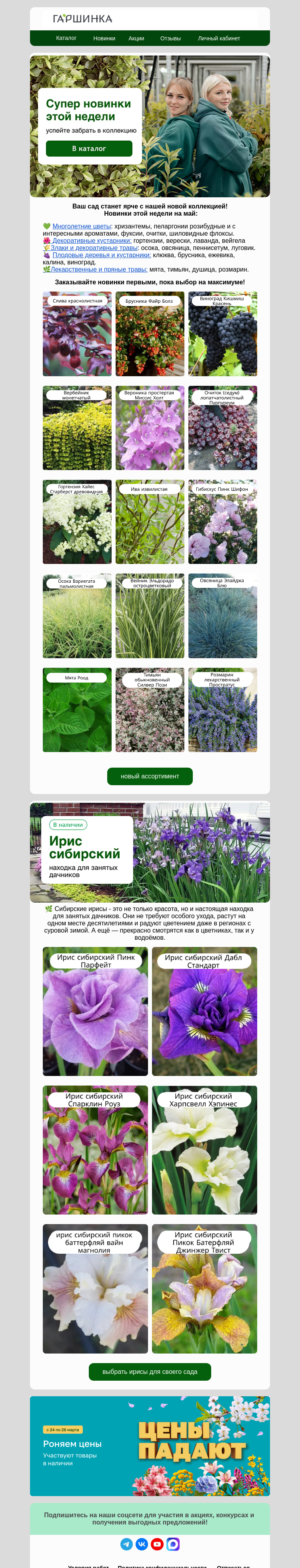 Письмо компании «Гаршинка.ру» на тему «🌟Новинки подъехали! Впервые в каталоге!»