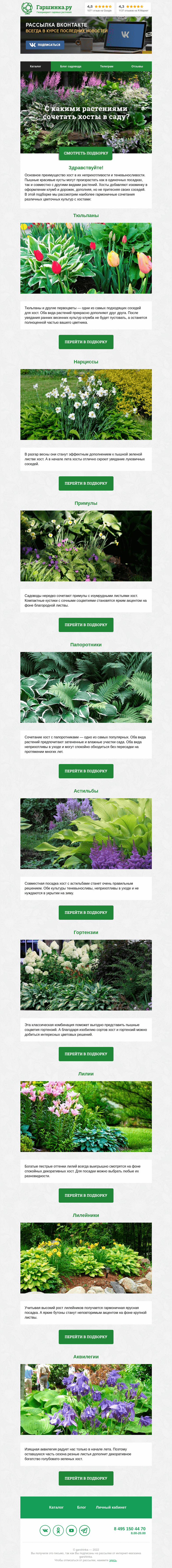 Письмо компании «Гаршинка.ру» на тему «🌱🌷🌸 С какими растениями сочетать хосты в саду?»