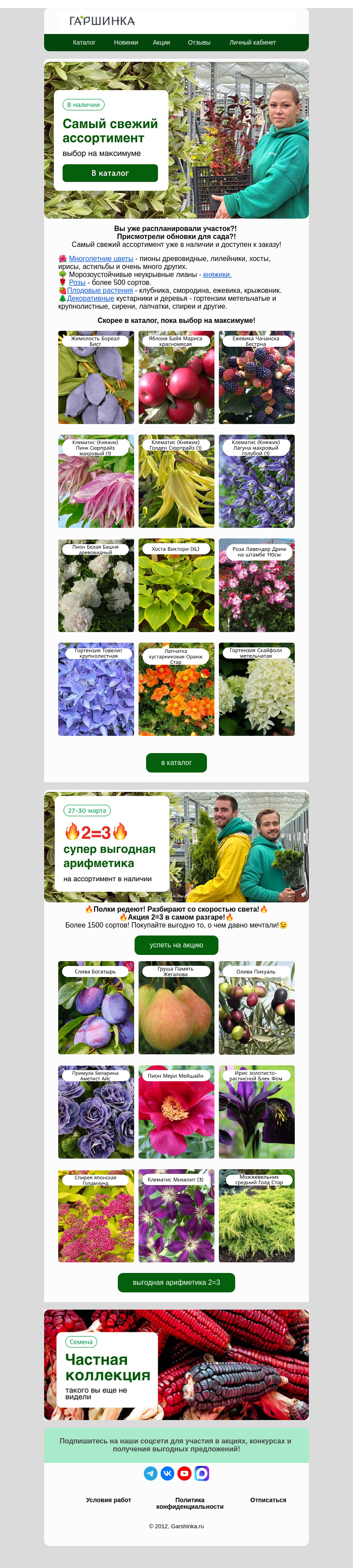 Письмо компании «Гаршинка.ру» на тему «😍Вау! Редкие сорта уже в наличии!🥳»