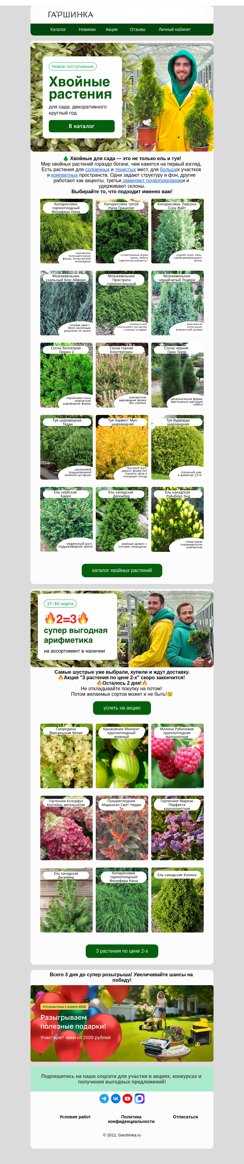 Письмо компании «Гаршинка.ру» на тему «📢Свежее поступление хвойных! 145 сортов в наличии!🌲»