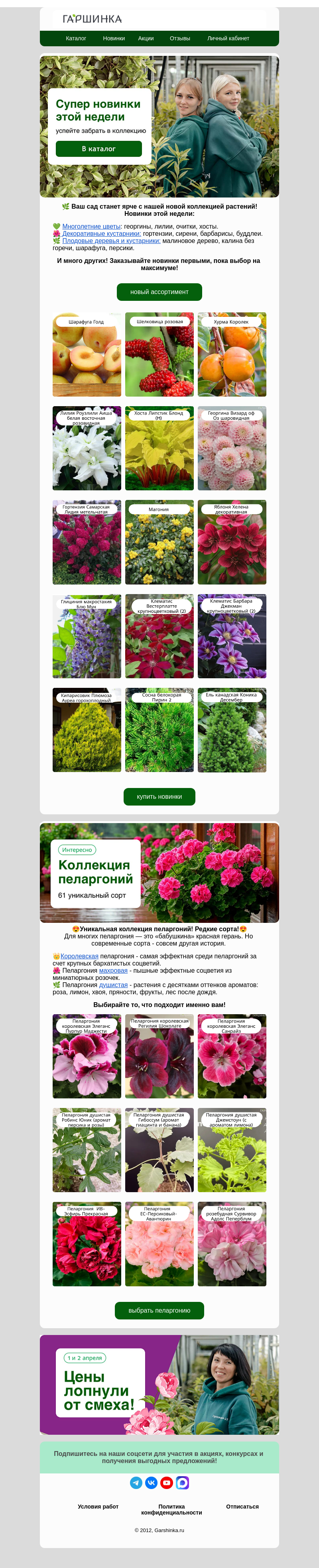 Письмо компании «Гаршинка.ру» на тему «💫Звезды этой недели! Удивляем новинками!»