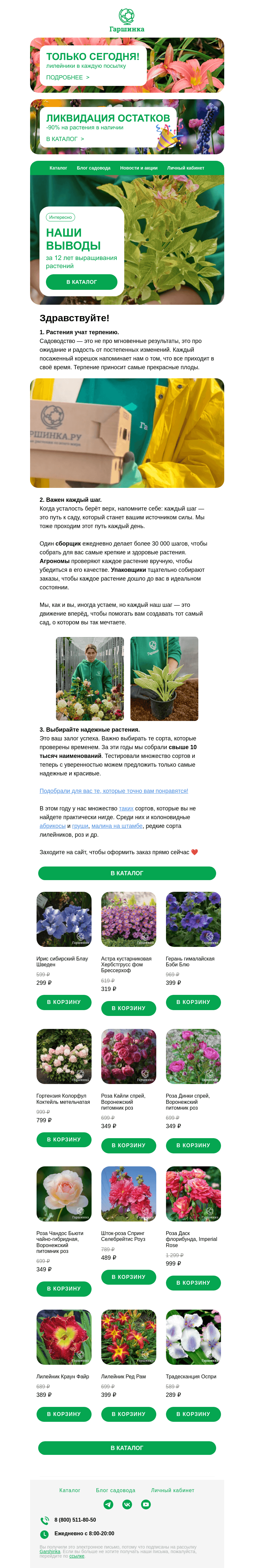 Письмо компании «Гаршинка.ру» на тему «💡🌱 Что мы поняли за 12 лет выращивания растений:»