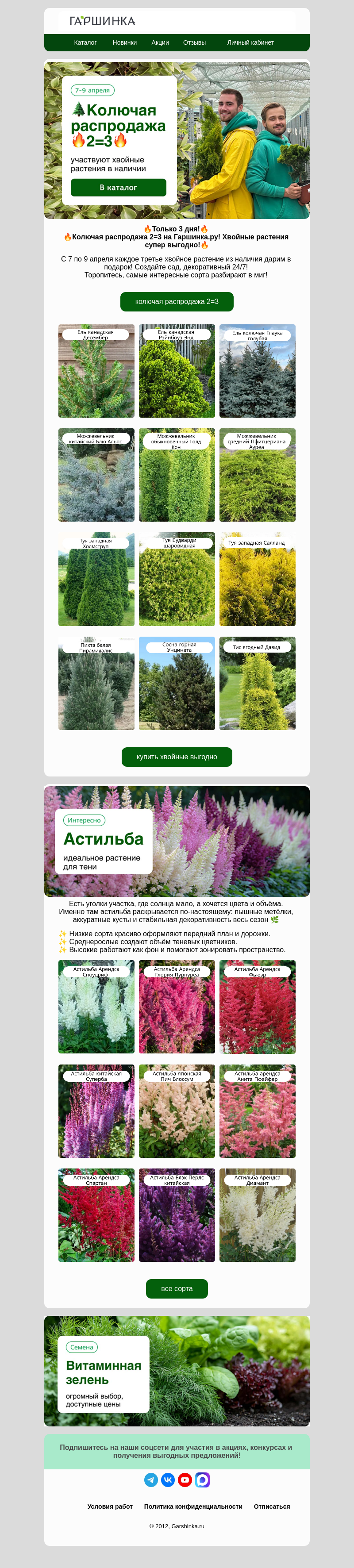 Письмо компании «Гаршинка.ру» на тему «🌲Колючая распродажа 2=3💚»
