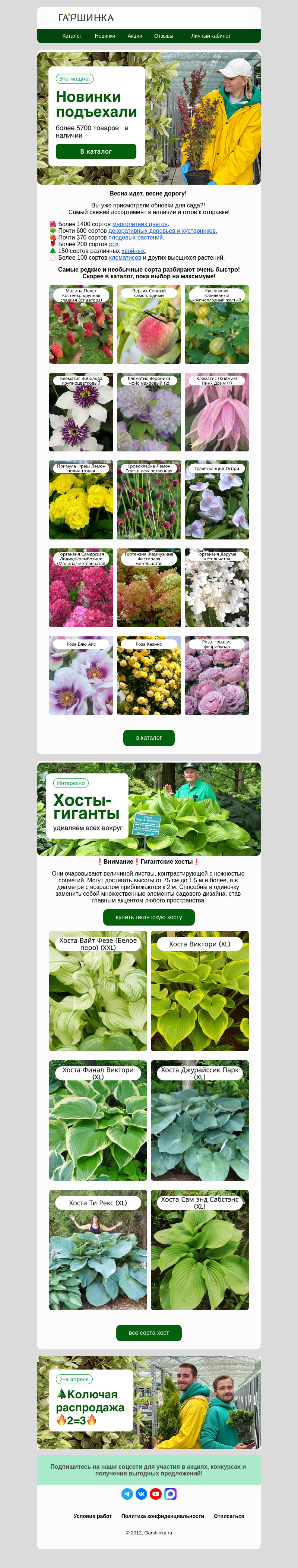 Письмо компании «Гаршинка.ру» на тему «💥Это мощно! Более 5700 товаров в наличии!»