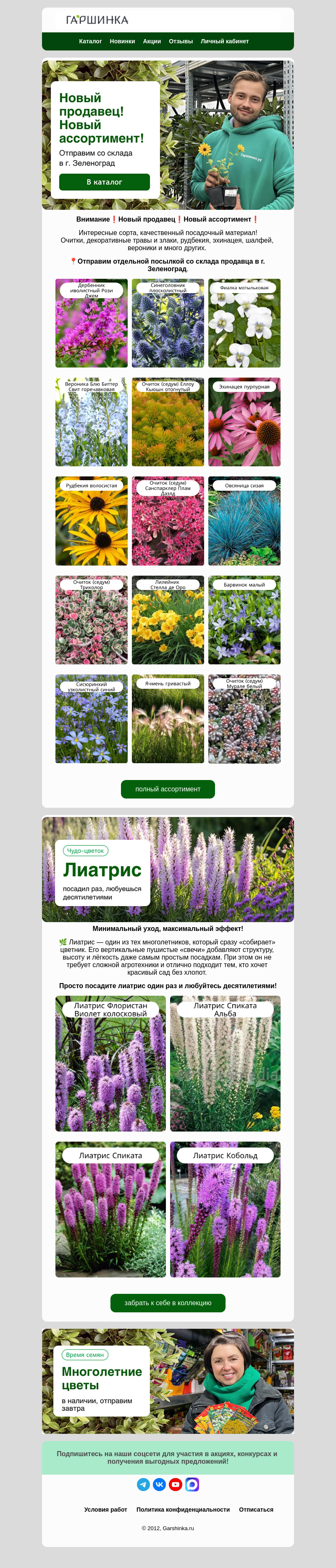 Письмо компании «Гаршинка.ру» на тему «❗Новый продавец❗Новый ассортимент❗»