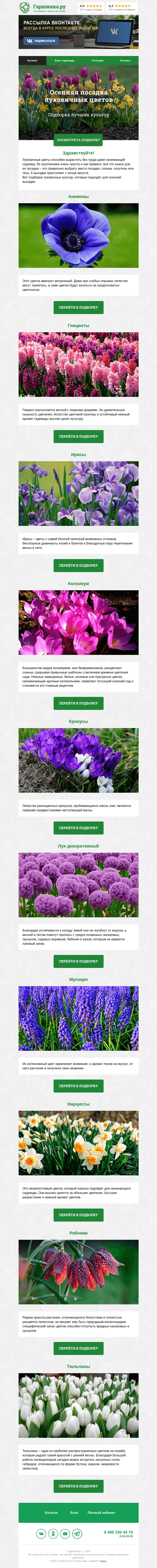 Письмо компании «Гаршинка.ру» на тему «Осенняя посадка луковичных цветов 💐»