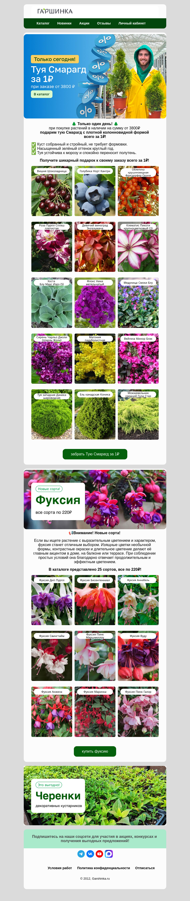 Письмо компании «Гаршинка.ру» на тему «📢Только сегодня! Туя Смарагд за 1₽!🎁»