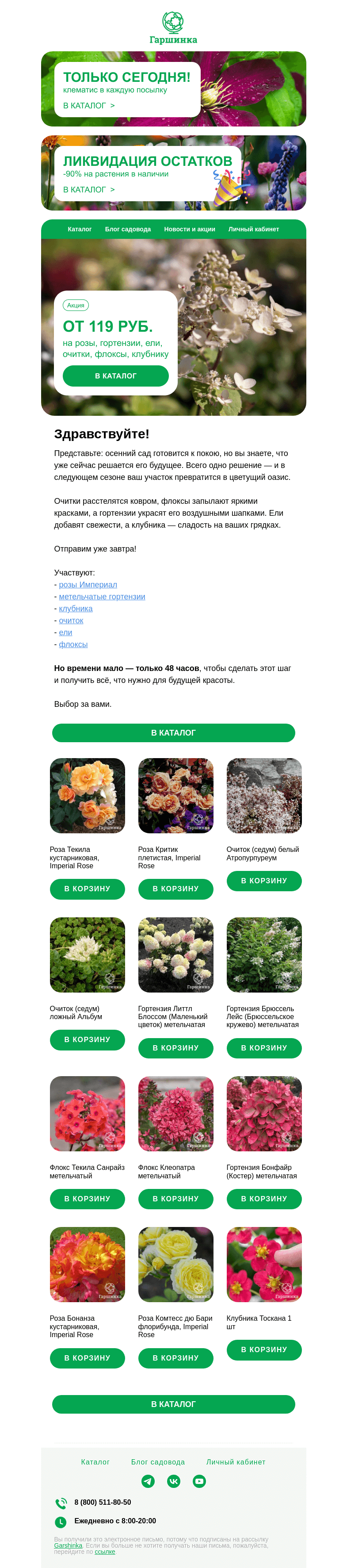 Письмо компании «Гаршинка.ру» на тему «🫶 От 119 рублей на розы Империал, гортензии, очитки, ели, флоксы и клубнику!»